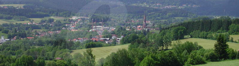 Bavarian forest