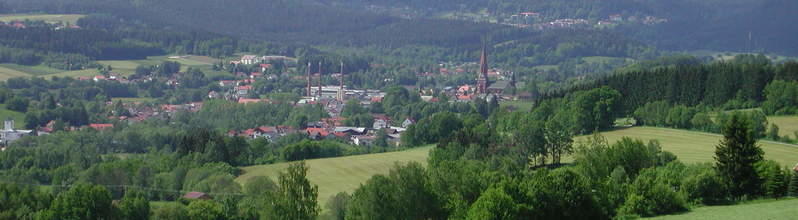 Bavarian forest